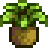 Лучший персонаж для женитьбы в Stardew Valley, на основе вашего знака зодиака 