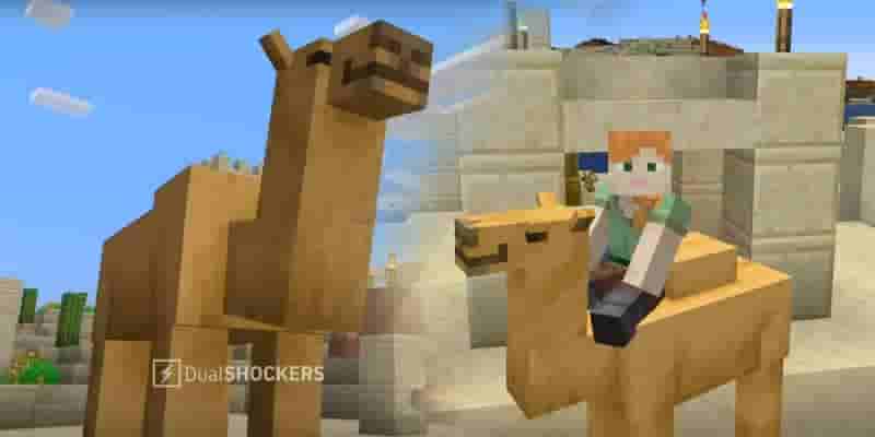 Как выращивать и использовать верблюдов в Minecraft