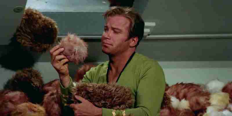 Lower Decks сломал 54-летний тренд Star Trek (и стал одним из важнейших шоу в этом процессе)
