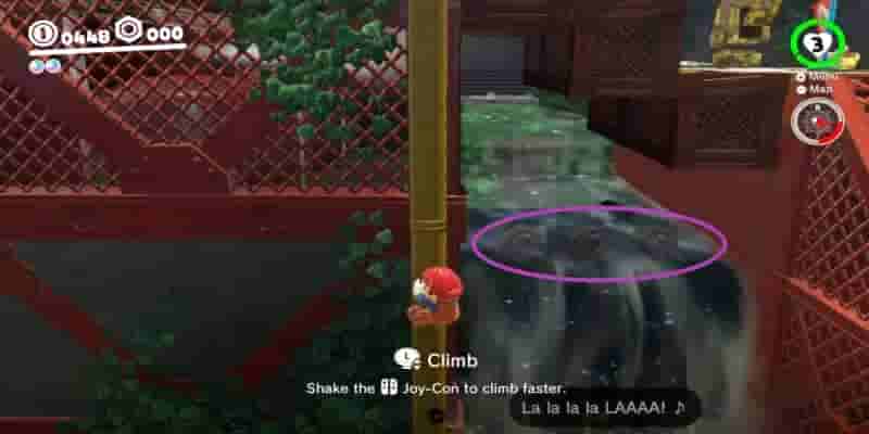 Super Mario Odyssey: Все Purple Coins In The Wooded Kingdom