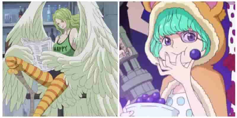 10 важных сведений, раскрытых в One Piece SBS