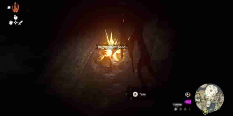 Tears Of The Kingdom: How To Use Brightbloom Seed