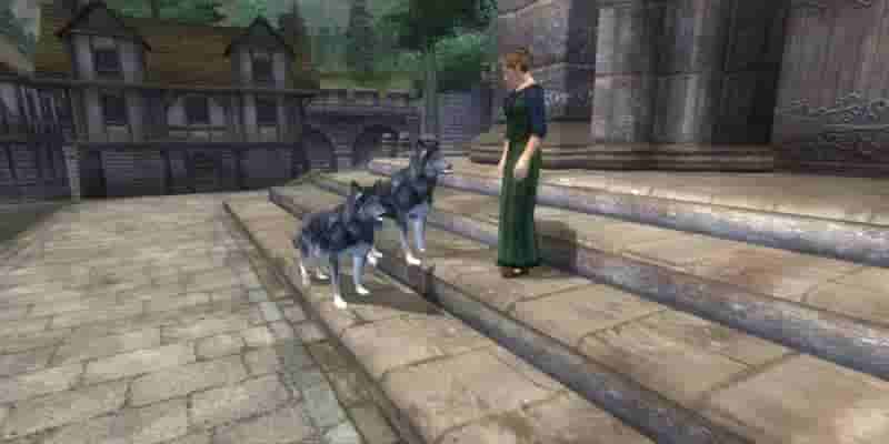 Приключения скромного никем в The Elder Scrolls IV: Oblivion