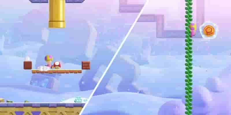 Super Mario Bros. Wonder: Puzzling Park — Расположение всех жетонов чудес