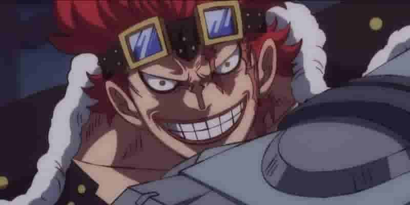 One Piece: Каждая сверхновая, ранговая