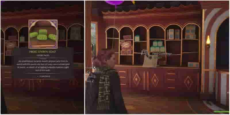 Hogwarts Legacy: Hogsmeade Field Гайд Pages