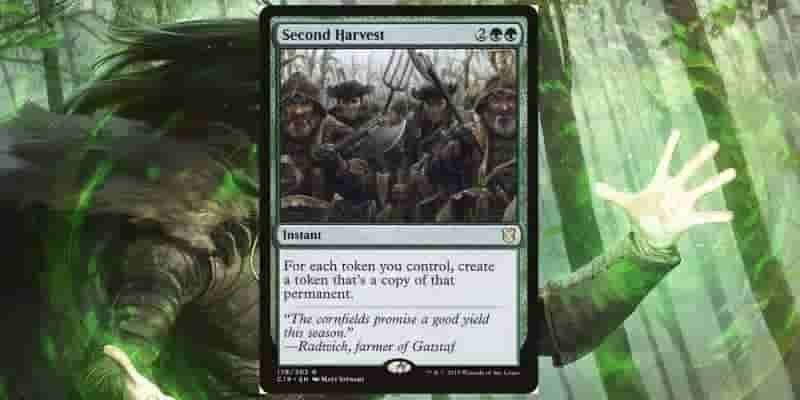 10 лучших карт Magic: The Gathering для племенных колод эльфов