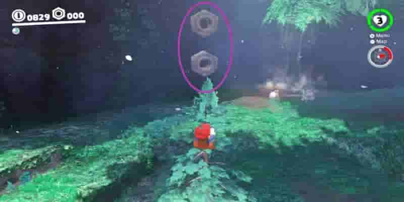 Super Mario Odyssey: Все Purple Coins In The Wooded Kingdom