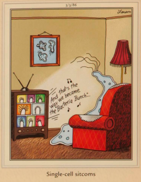 10 лучших комиксов The Far Side с участием амеб, рейтинг