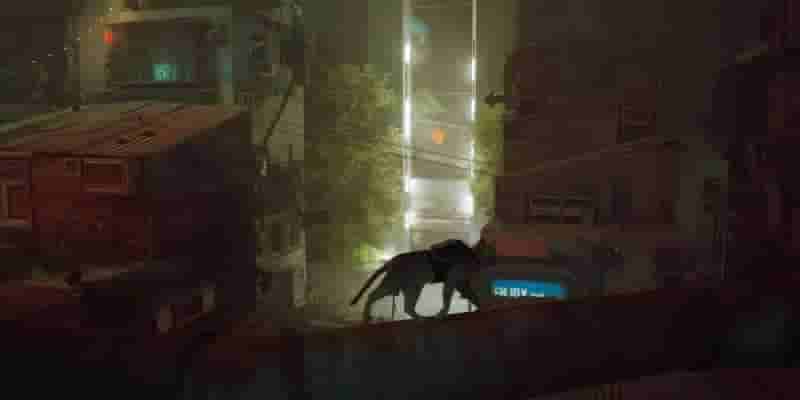 Stray: почему разрушенный город-крепость в Гонконге был идеальным местом для кошачьей игровой площадки