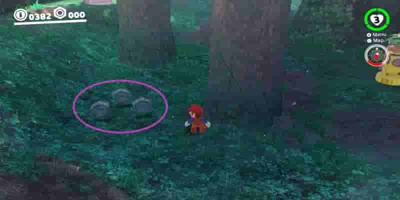 Super Mario Odyssey: Все Purple Coins In The Wooded Kingdom