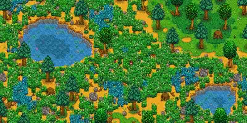 Как получить золотые грецкие орехи в Stardew Valley