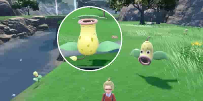 Pokemon Scarlet & Violet: Как получить и развить Bellsprout & Weepinbell