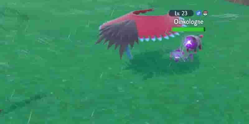  Гайд по сборке Pokemon Scarlet & Violet: Roaring Moon