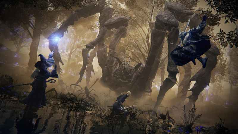 fromSoftware, рассмотрение дополнительных сетевых тестов Elden Ring Nightreign