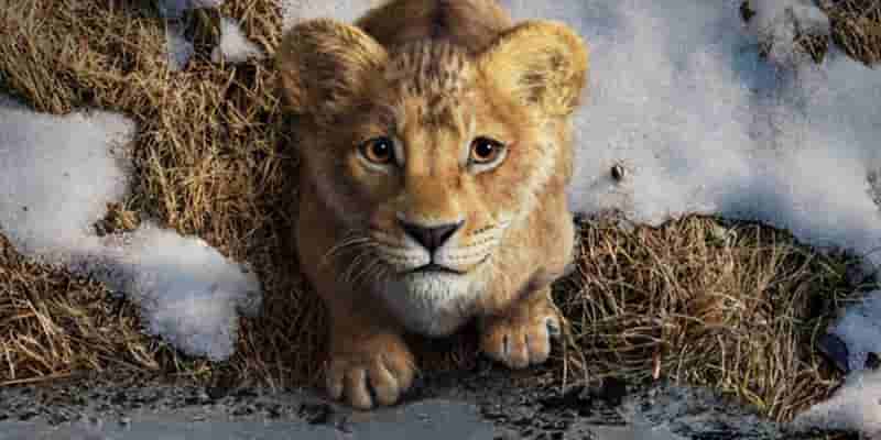 10 предстоящих фильмов Disney, которых больше всего ждут фанаты