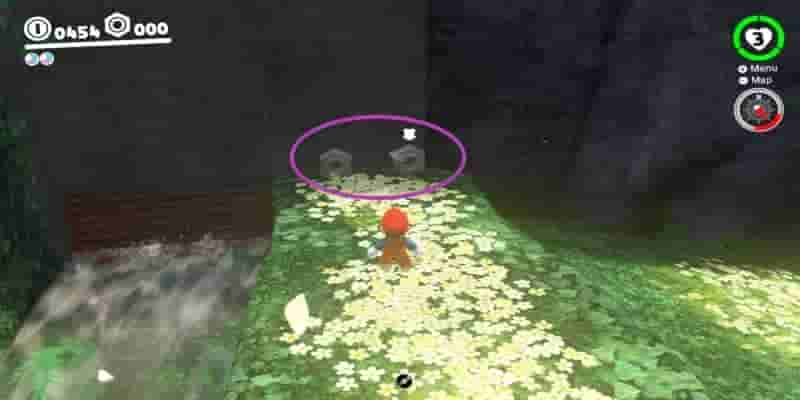 Super Mario Odyssey: Все Purple Coins In The Wooded Kingdom