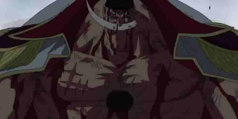 One Piece: Каждый Император Моря, рейтинг