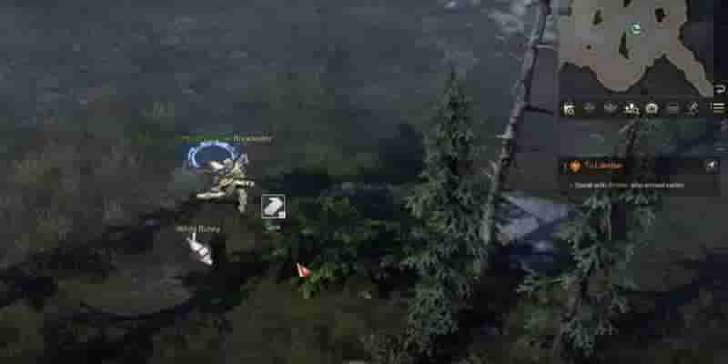  Lost Ark: Mount Zagoras Mokoko Seed Locations