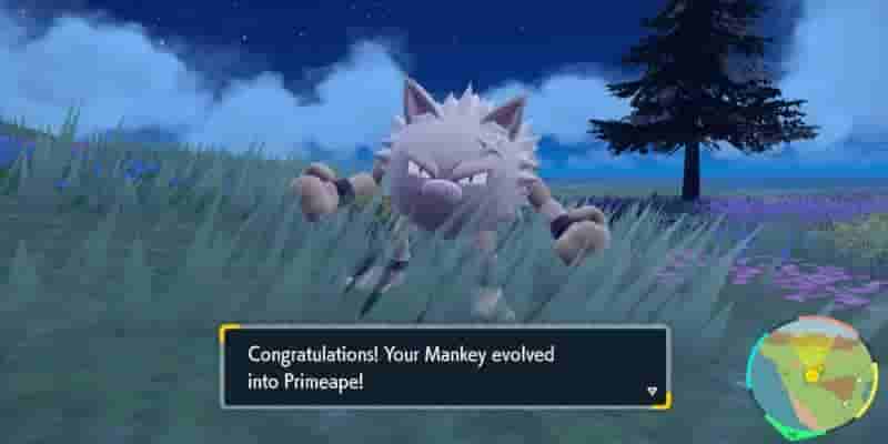 Pokemon Scarlet & Violet: Как превратить Primeape в Annihilape
