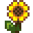 Лучший персонаж для женитьбы в Stardew Valley, на основе вашего знака зодиака 
