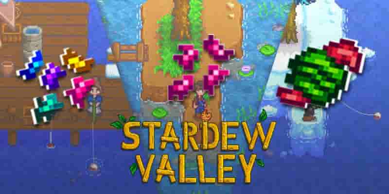 Гайд по рыболовным наживкам и снастям Stardew Valley