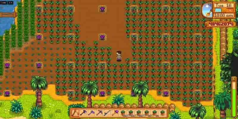 Самый полезный эксплойт в Stardew Valley позволяет игрокам создавать неограниченное количество редких предметов