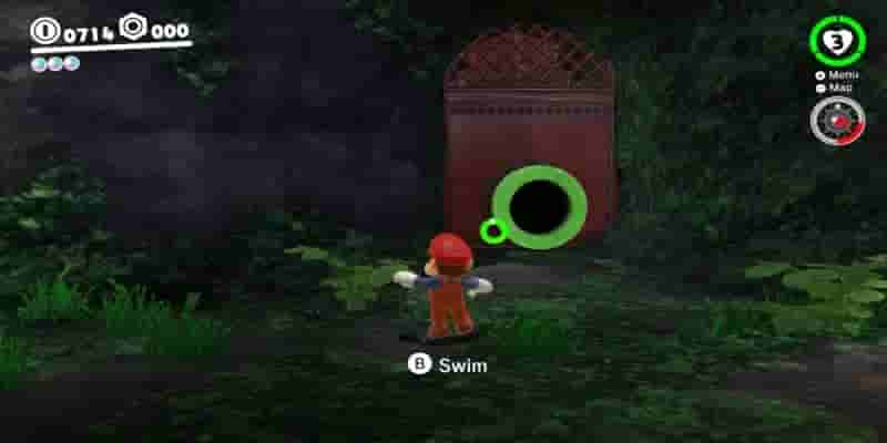Super Mario Odyssey: Все Purple Coins In The Wooded Kingdom