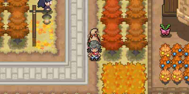 Pokemon Opalo: прохождение и руководство