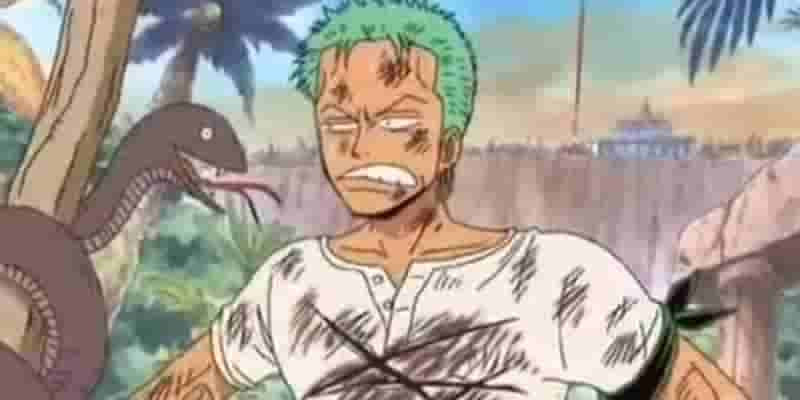One Piece Зоро затерялся в абсолютно точном весёлом косплее