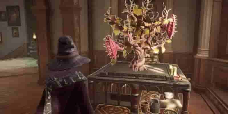 Hogwarts Legacy: Best Items For The Room of Required