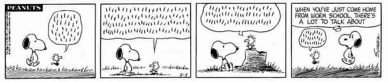 10 лучших комиксов Woodstock Peanuts, рейтинг