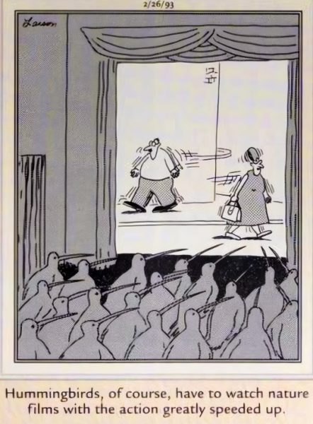 10 лучших комиксов Far Side, действие которых происходит в кинотеатрах (Которые актуальны и сегодня)