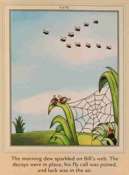 10 малоизвестных фактов о комиксе Far Side