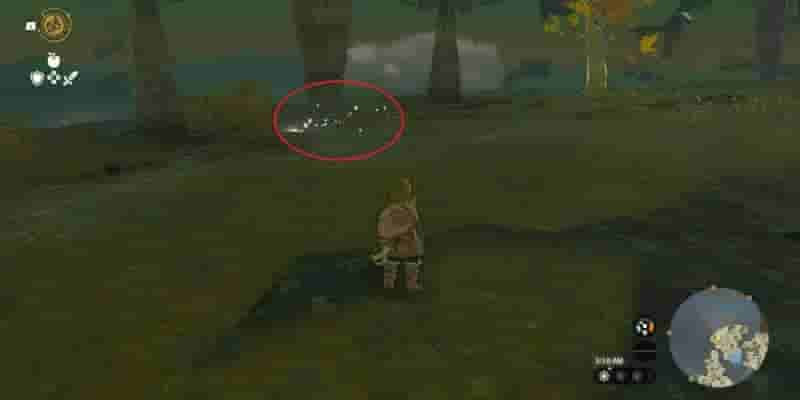 Tears Of The Kingdom: Все Korok Seeds on Great Небесный остров