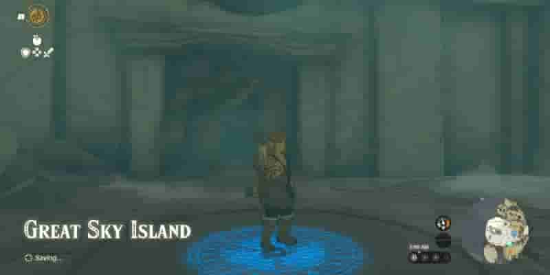 Tears Of The Kingdom: Все Korok Seeds on Great Sky Island