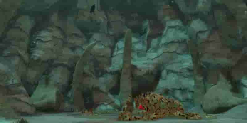 The Legend Of Zelda: Tears Of The Kingdom: 10 лучших мест в The Depths в рейтинге