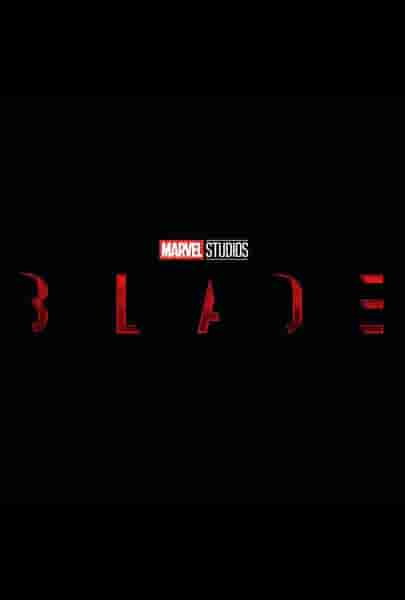 По слухам, режиссер Блэйда рассказал об участии в фильме киновселенной Marvel