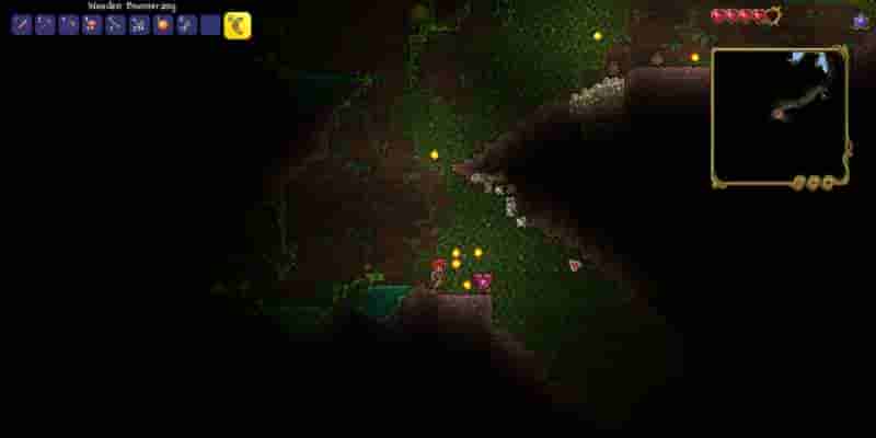 Лучшие семена Terraria