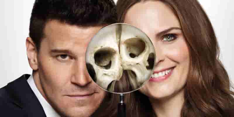 Эмили Дешанель отвечает Дэвиду Бореаназу, призывающему возродить Bones