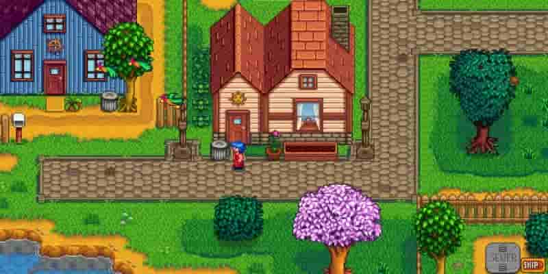 Как узнать обо всех сердечных событиях Эмили в Stardew Valley