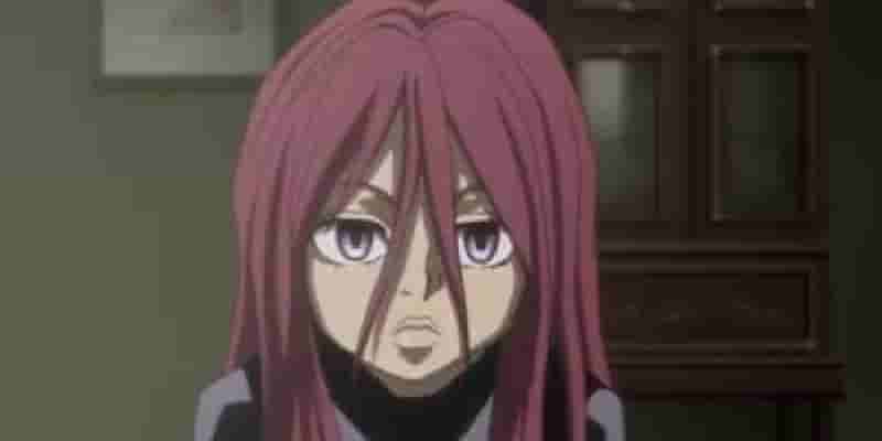 Персонажи Hunter X Hunter, которые должны вернуться в арке Dark Continent