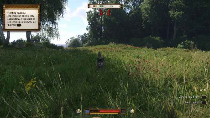 Kingdom Come Deliverance 2: 10 лучших способов быстро заработать деньги