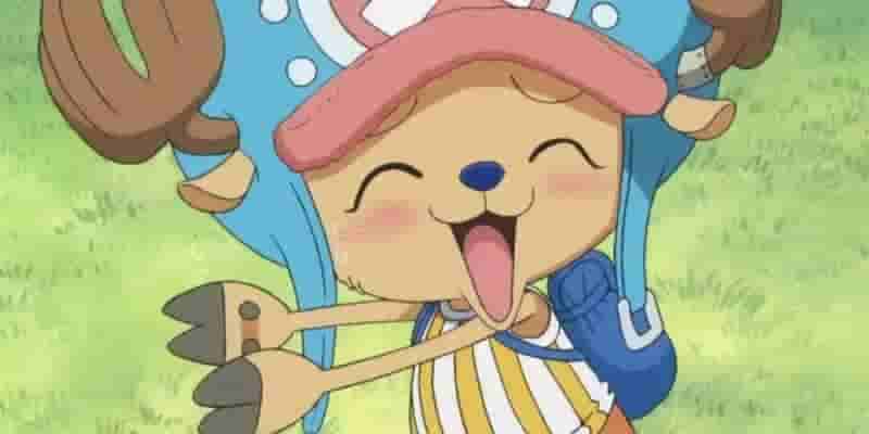 One Piece: объяснение мечты каждого члена экипажа Соломенной шляпы