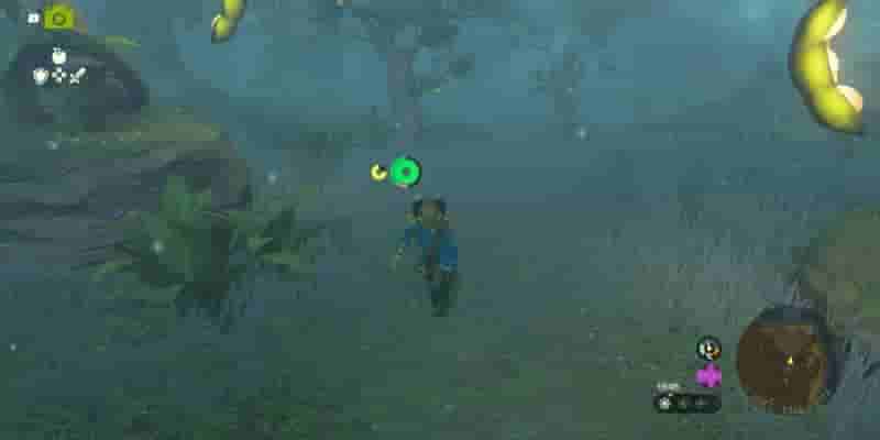 Tears Of The Kingdom: A Pretty Stone And Five Golden Apples Прохождение