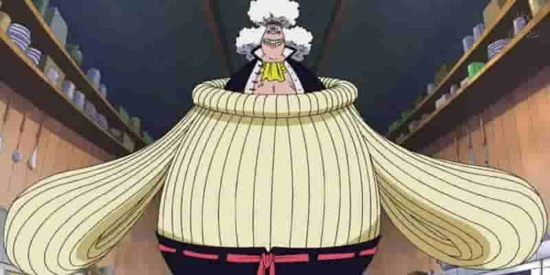 10 самых уникальных персонажей One Piece Боевые стили