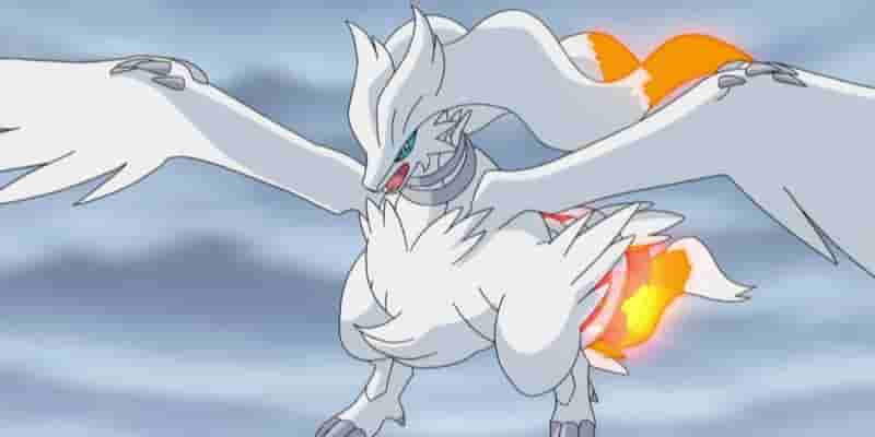 Эксклюзив для каждой версии Pok&eacute;mon в Черная версия