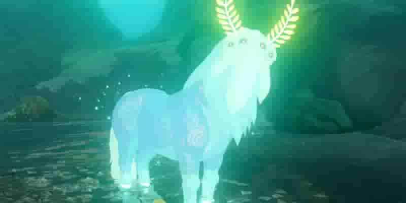 15 вещей, которые вы должны сделать в Breath Of The Wild после победы над Calamity Ganon
