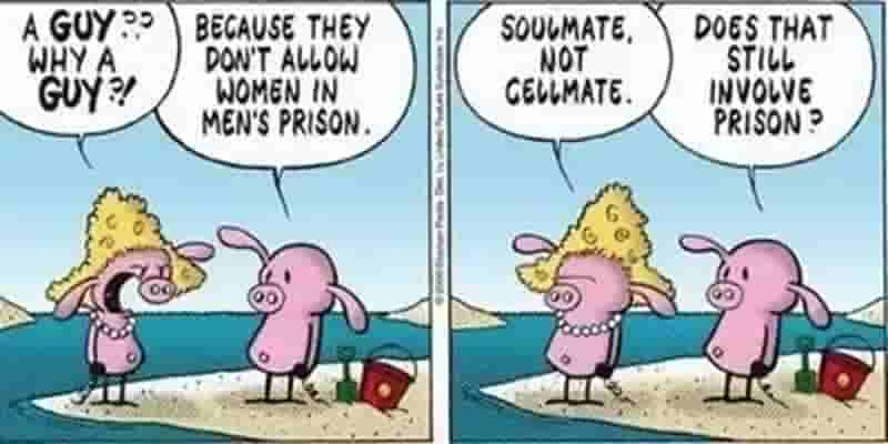 Лучшие повторяющиеся персонажи в комиксах Pearls Before Swine