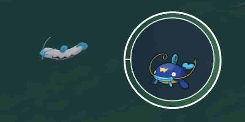Pokemon Scarlet & Violet: Как получить и развить Барбоача